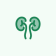 kidneys